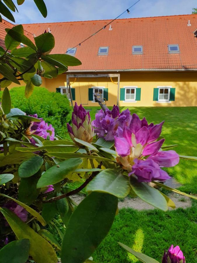 Отель Landhof Steinbaeck Sankt Stefan ob Stainz Экстерьер фото